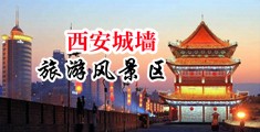 騒女流水操逼视频中国陕西-西安城墙旅游风景区