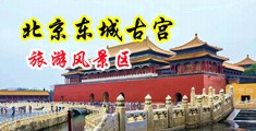 黑人大吊肏日本女人小逼中国北京-东城古宫旅游风景区